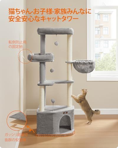 大型ハウス付き