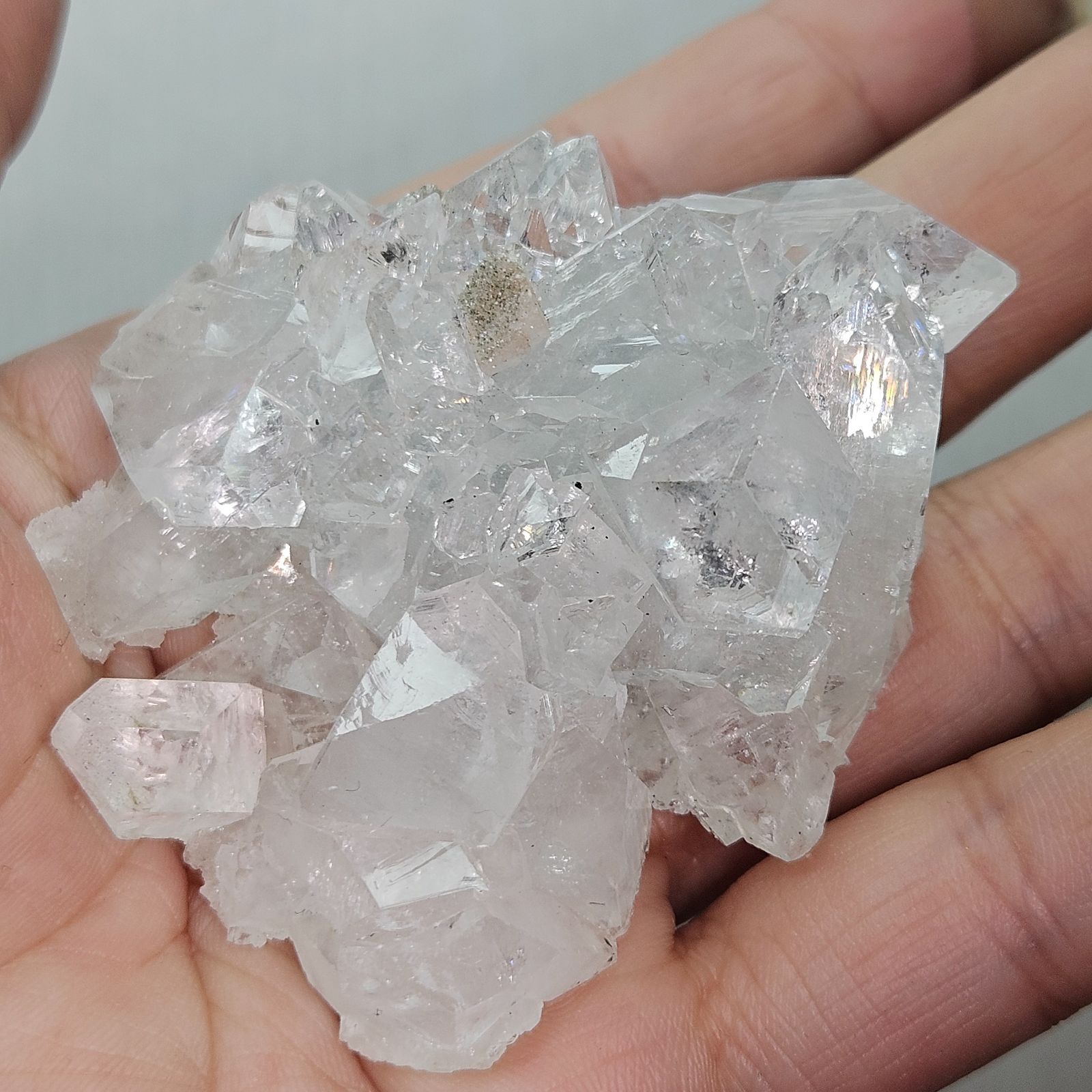 タイで直接仕入れ