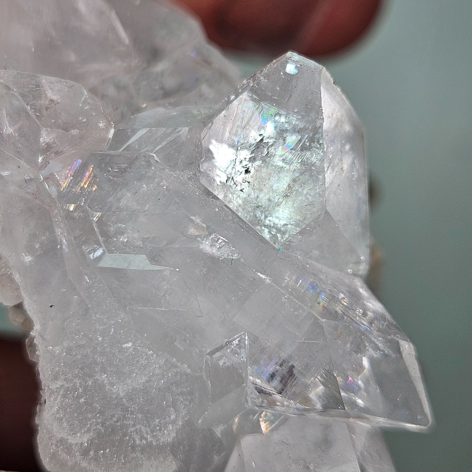 タイで直接仕入れ