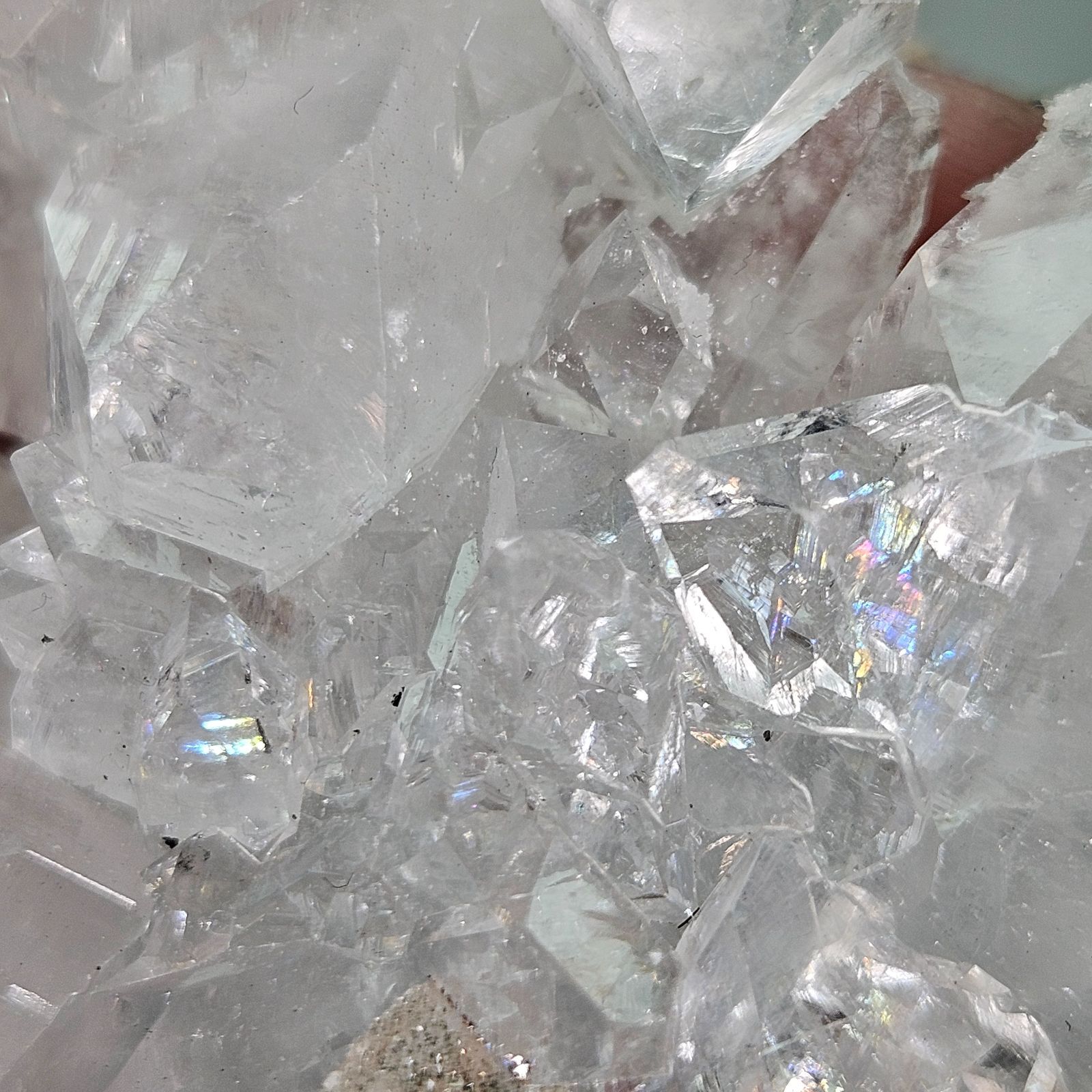 タイで直接仕入れ