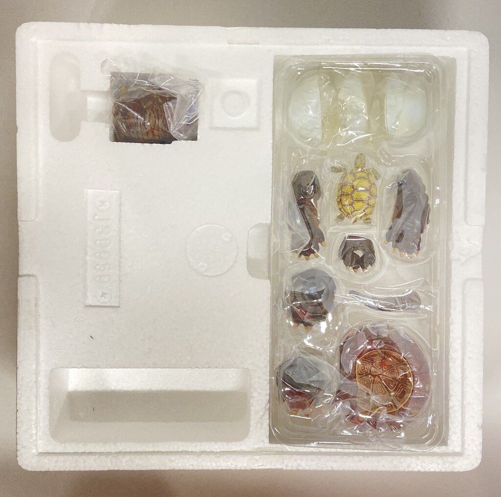 ガメラ|小さき勇者たち ガメラ