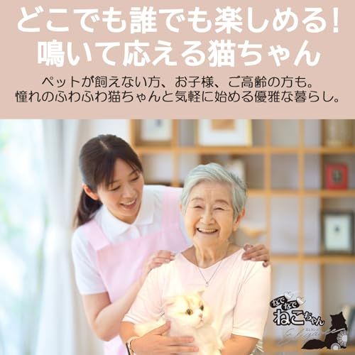 コミュニケーション