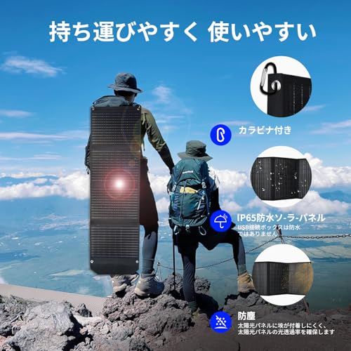  迅速に発送 VLAIANソーラーパネル60 W 折りたたみ式 携帯電話ソーラー充電器 USB|Type-C|DCインターフェース 小型で持ち運びに便利 単結晶シリコン 23.4%の高光電変換効率 自動発電 IP 65防水防塵 携帯電話|タブレッ 450 b 5 db 6 調味料入れ 炊飯器 その他 キッチン 食器