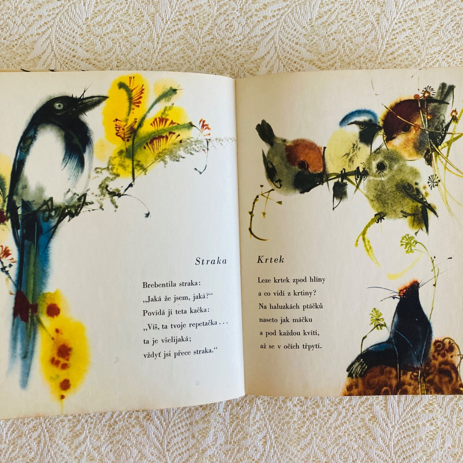 ミルコ・ハナーク挿絵の美しい絵本 チェコ語詩集 インテリア洋書・古書