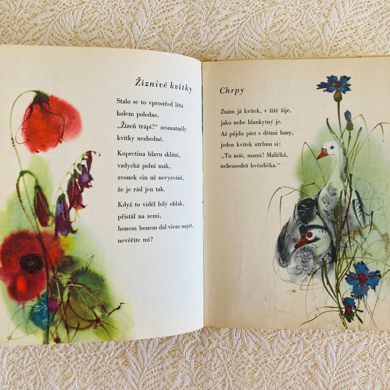 ミルコ・ハナーク挿絵の美しい絵本 チェコ語詩集 インテリア洋書・古書