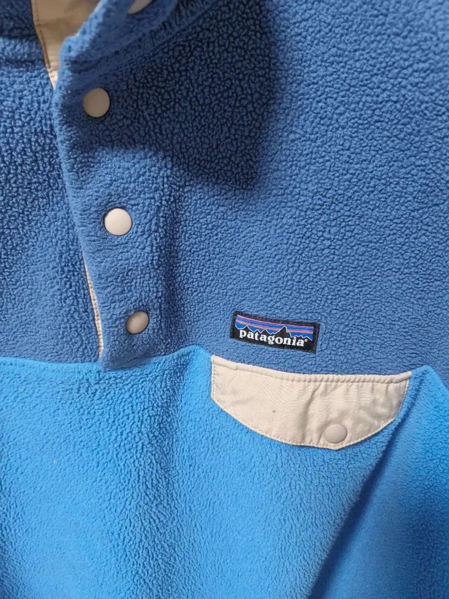 パタゴニア ブルー Synchilla シンチラ フリース L
