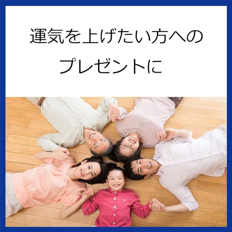 新品】 (ヒーリングアート TSUKASA) 開運グッズ 風水アイテム 金運