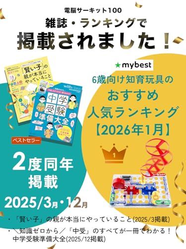電気や電子回路の仕組みが学べるおもちゃ Elenco