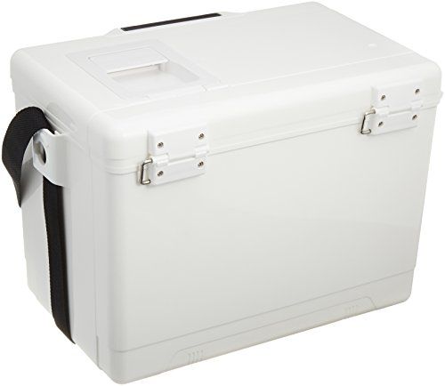 迅速に発送 ダイワ DAIWA クーラーボックス クールライン 6リットル|8リットル 小型 8 d 519 a 50