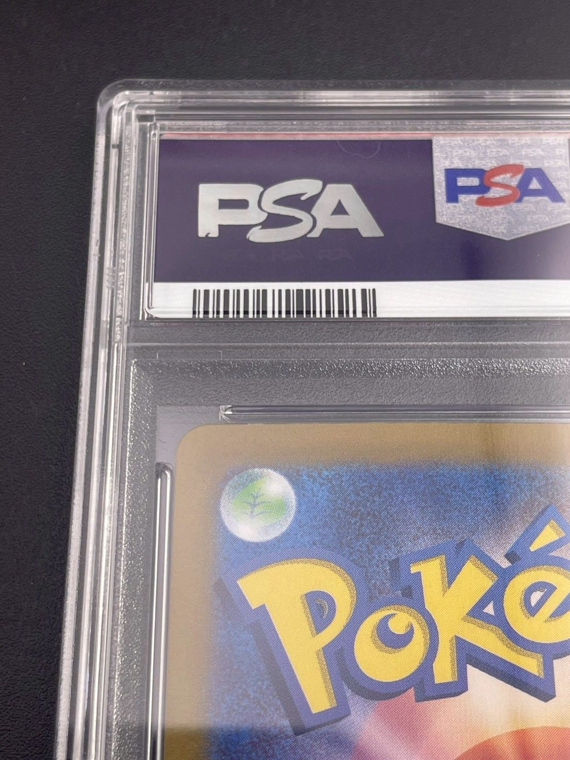 テラスタルフェスex