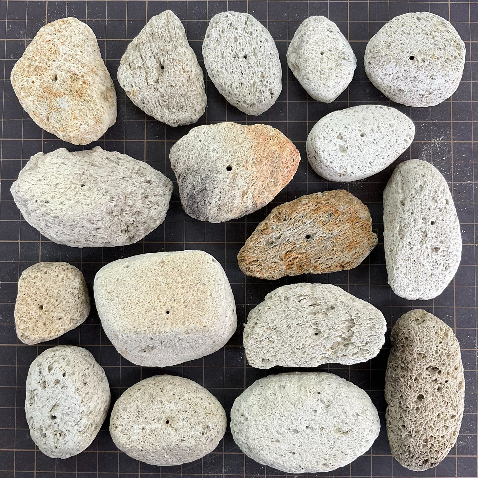 アイテラスの軽石鉢 17点セット｜軽量＆通気性抜群｜観葉植物や多肉