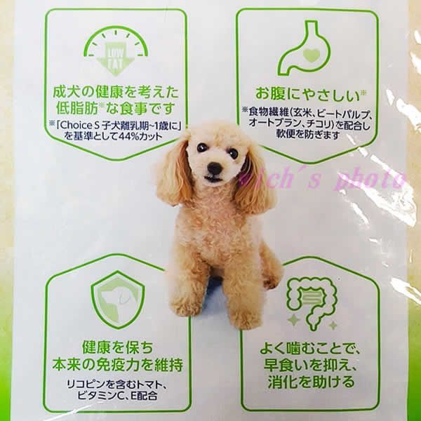 ファーストチョイス チョイスS 9kg ドッグフード 成犬 1歳以上 チキン