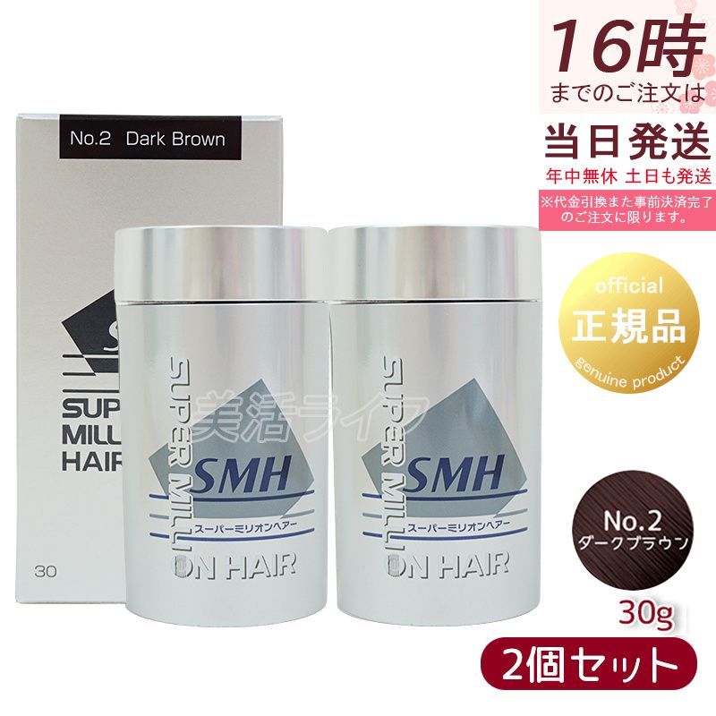 ルアン スーパーミリオンヘアー 30g No.2 ダークブラウン 2個セット 髪