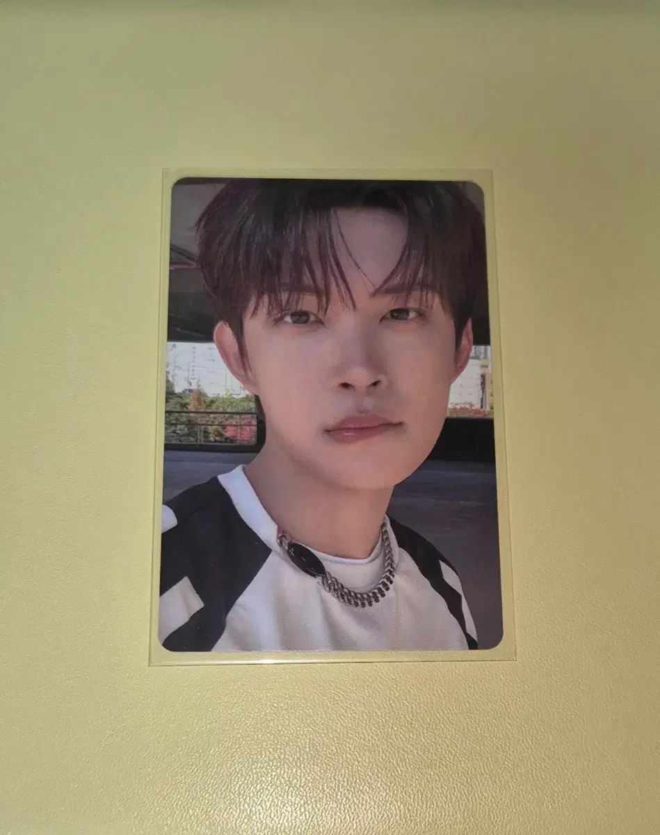 アルファドライヴONE RD1 プラチャット 未公開トレカ ゴヌ 噛みつき