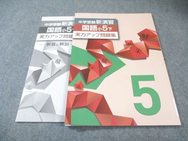 塾専用 小5 中学受験新演習 実力アップ問題集 国語 下 状態良品 009m5C