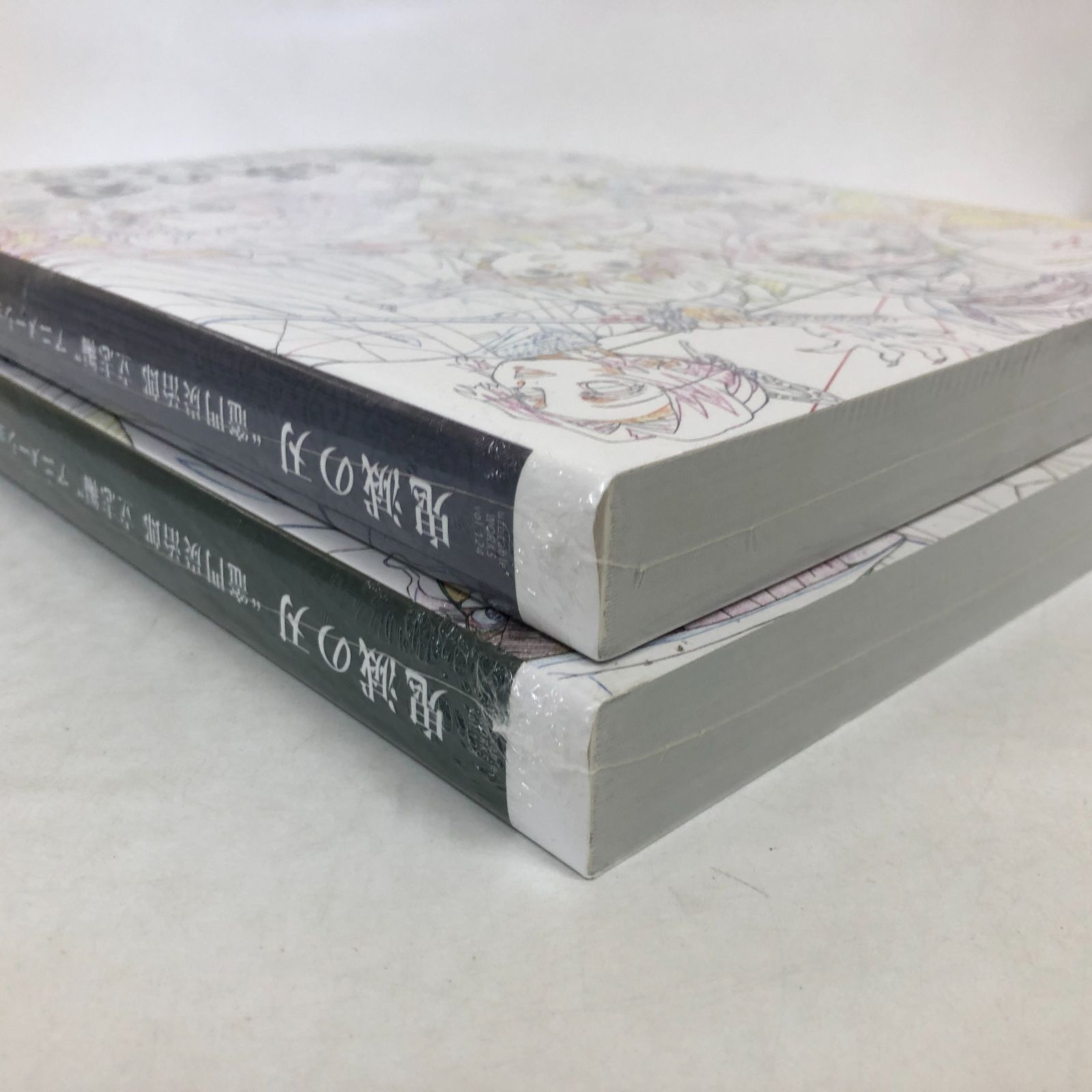 N]2冊セット 鬼滅の刃 竈門炭治郎立志編 アニメーション原画集 - メルカリ