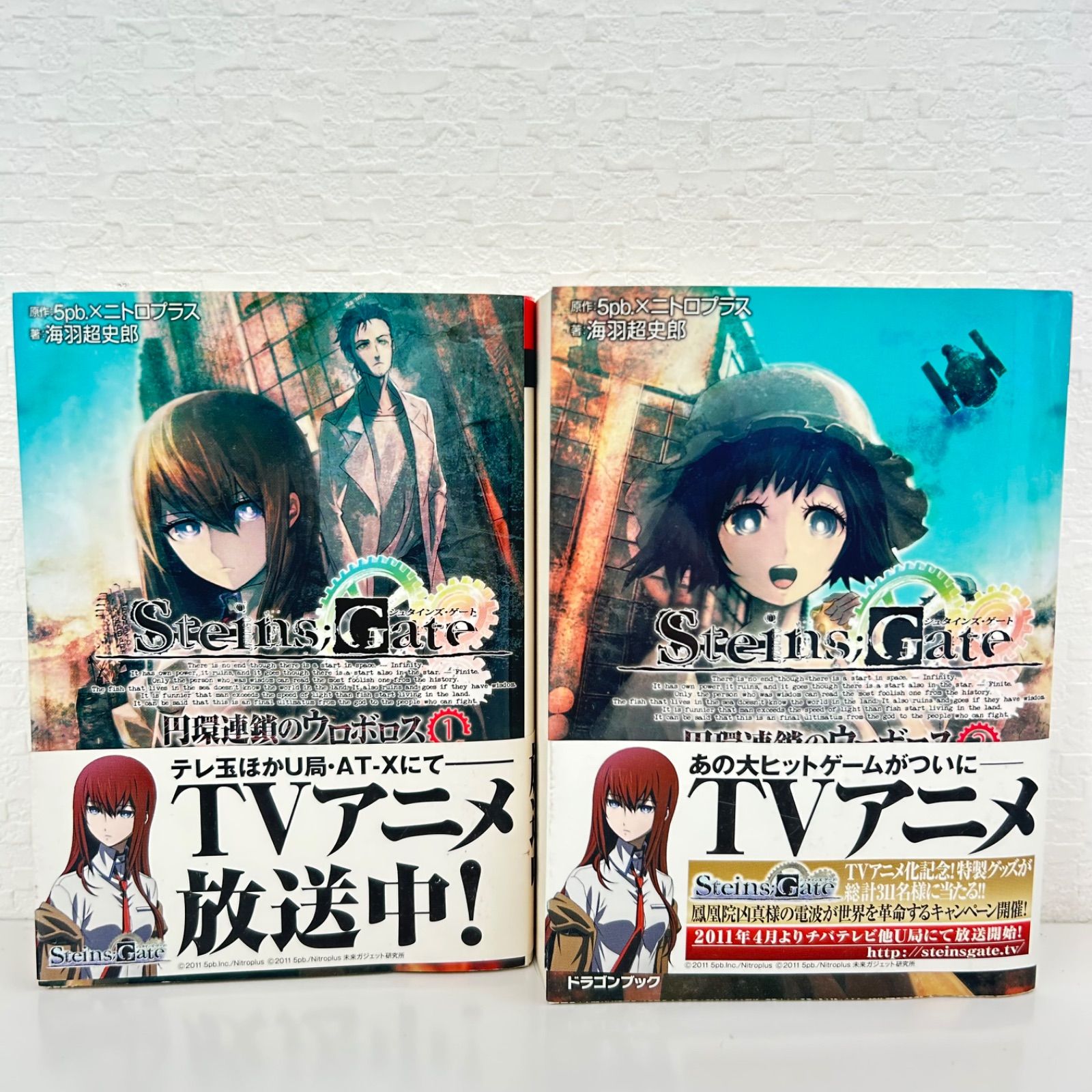 steins gate シュタインズゲート 円環連鎖のウロボロス 2冊セット