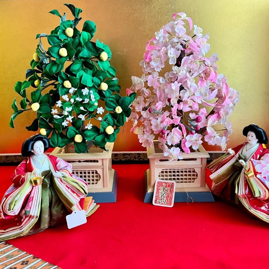 超特大☆高さ38cm☆純木製☆極上桜橘☆高さ24㎝☆可憐なピンクの