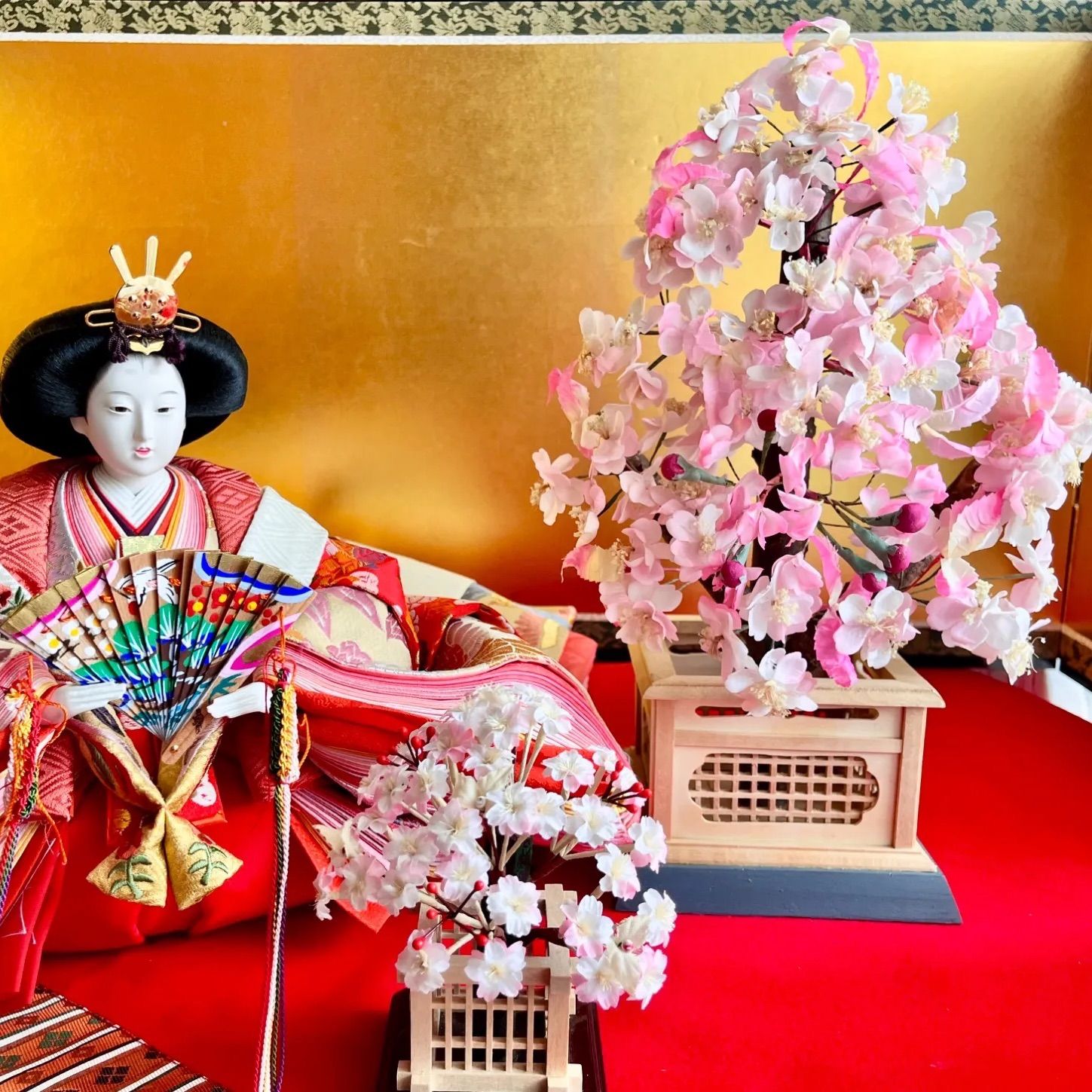 超特大☆高さ38cm☆純木製☆極上桜橘☆高さ24㎝☆可憐なピンクの