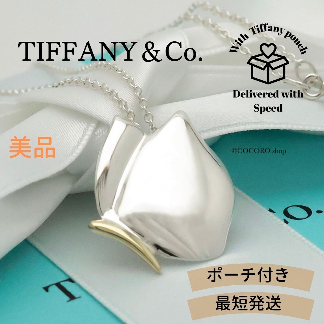 美品】ティファニー TIFFANY&Co. 蝶 バタフライ ネックレス AG925