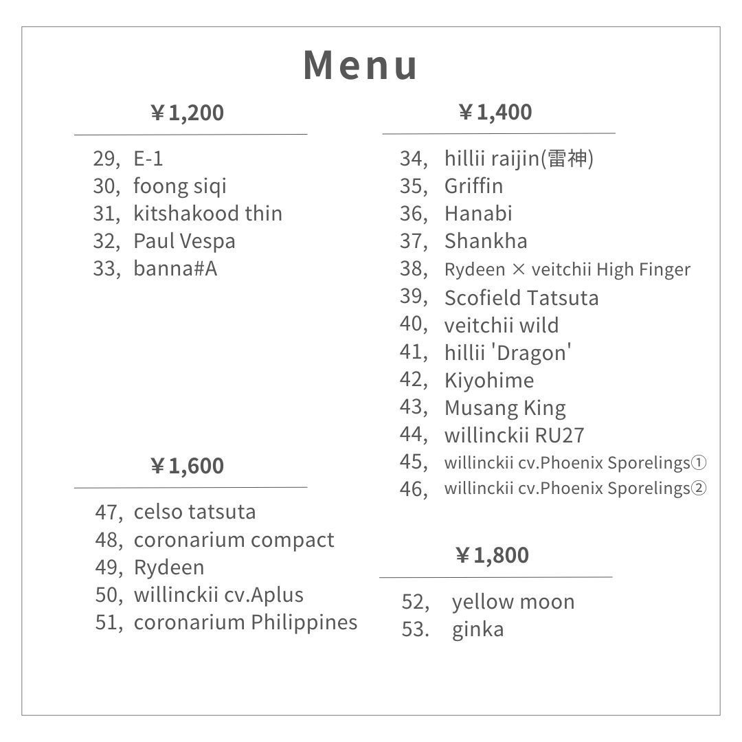 胞子] Ginka ギンカ 銀華 ビカクシダ - メルカリ