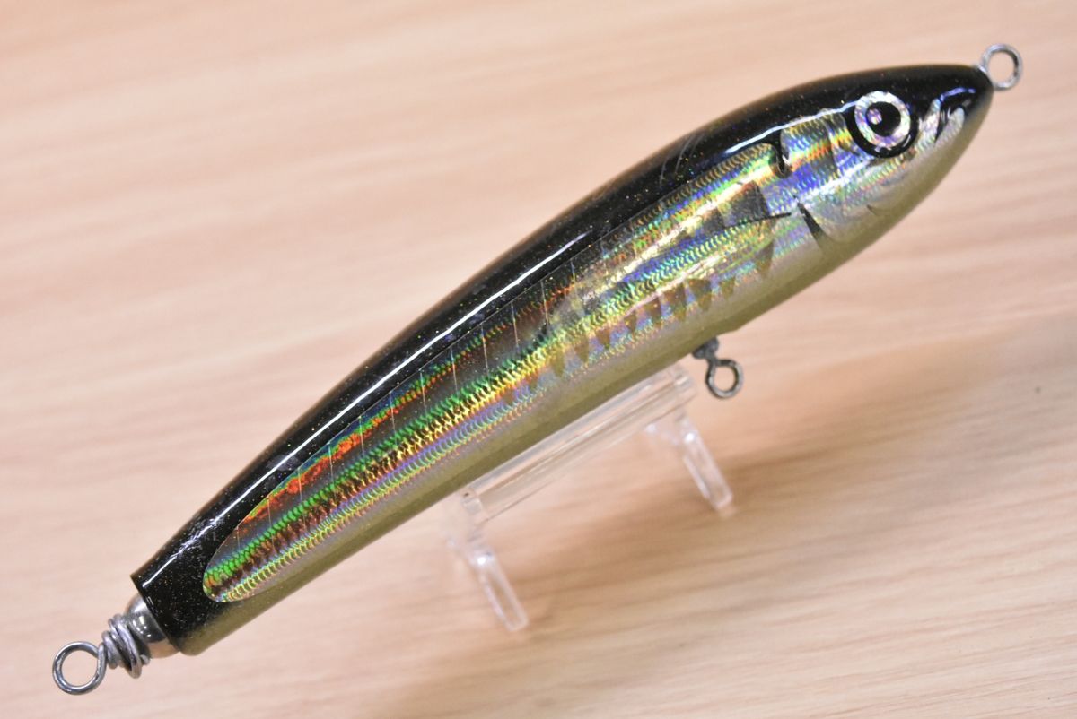 カーペンター ブルーフィッシュ 60-170 Carpenter BLUE FISH BF ダイブ