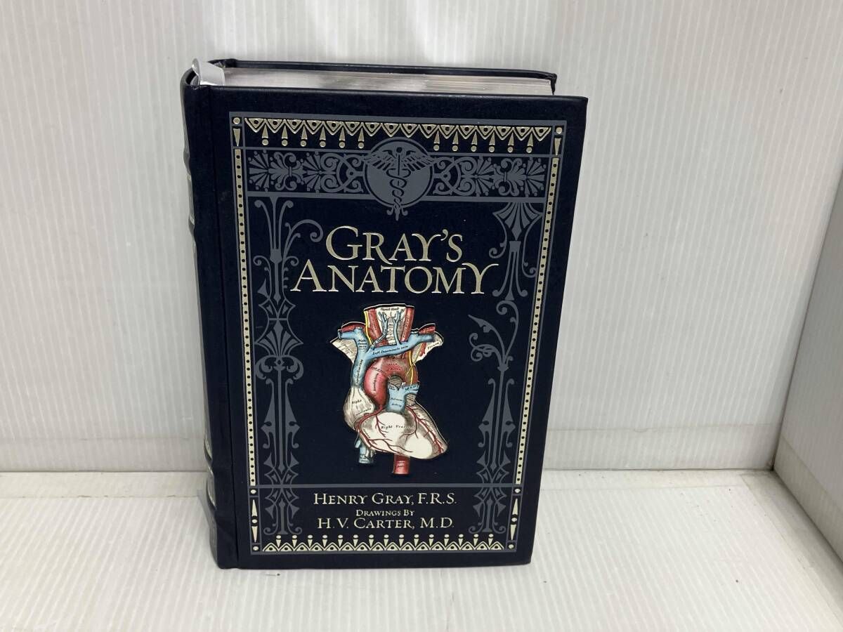 グレイ解剖学 原著第3版｜Gray's Anatomy｜状態良好｜書き込み少