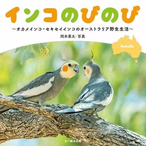 [중고] 도서 (실용) ≪축산업≫ 호주의 잉꼬, 앵무새, 잉꼬의 야생생활/ 오카모토 유타