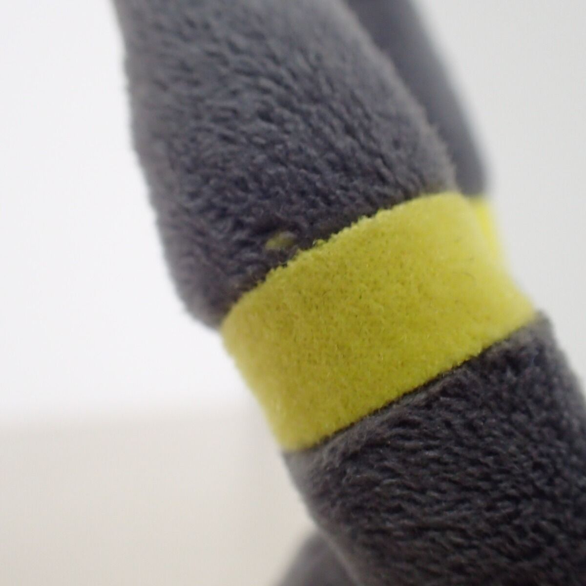 ブラッキー 紙タグ付き