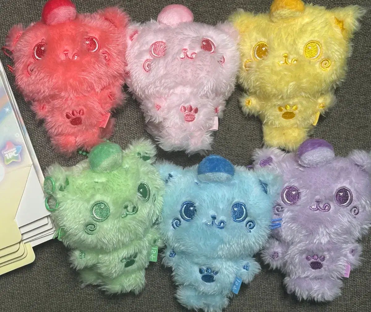 NCT エヌシーティー WISH ウィッシュドール クーリー セット