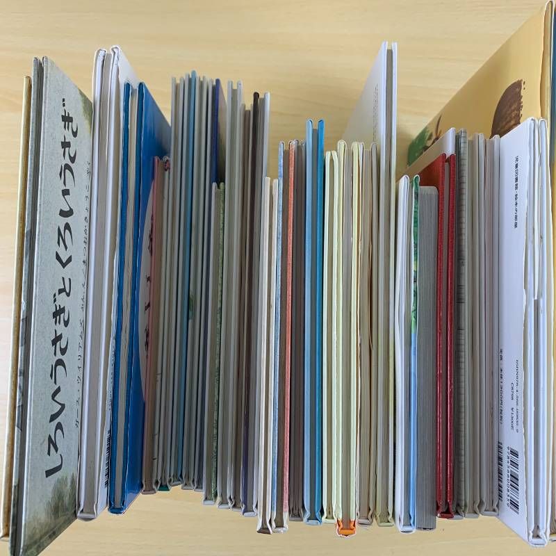 6歳以上向け絵本セット】1冊100円台- 人気29冊 100万回生きたねこ