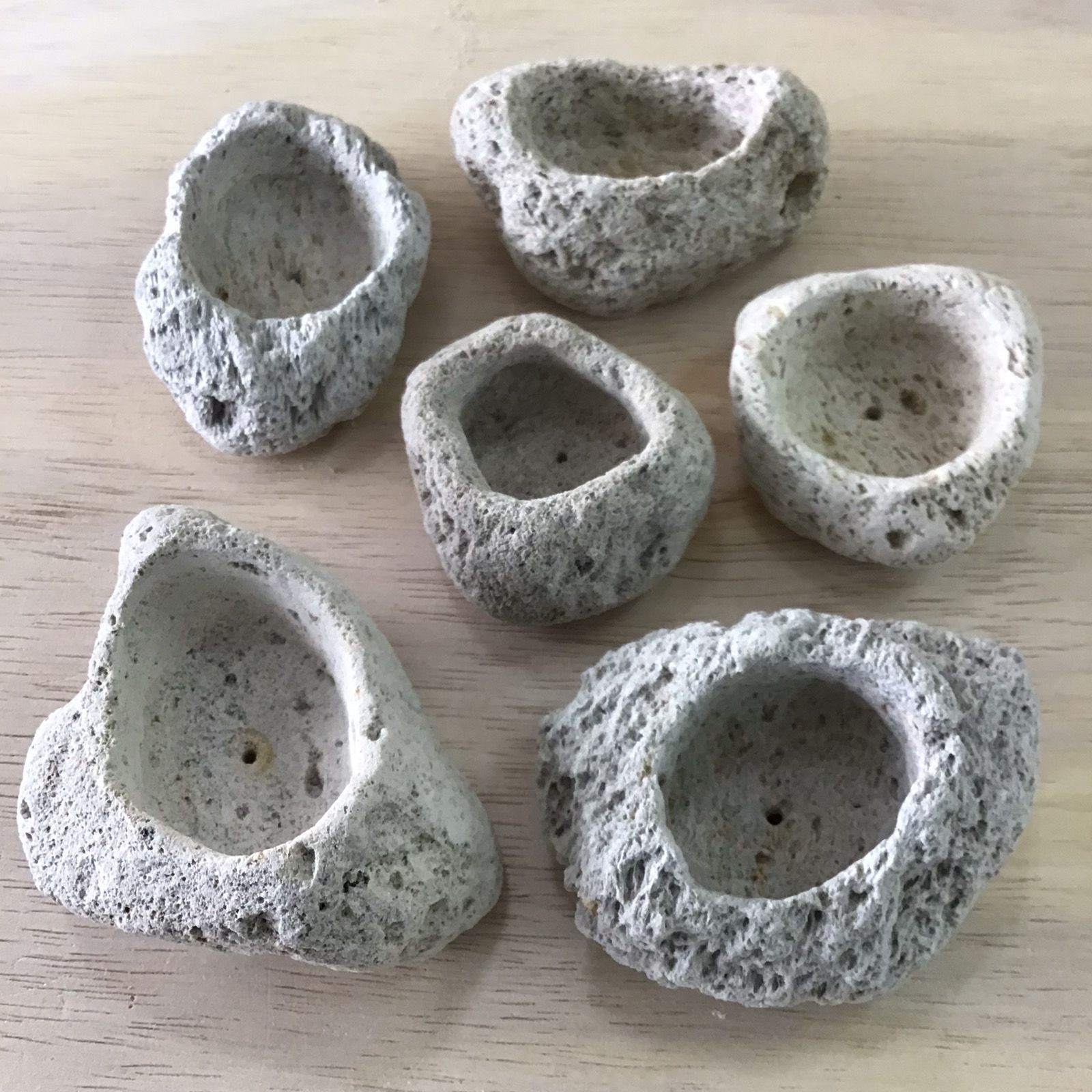 お試しセット｜アイテラスの軽石鉢 6点セット｜軽量＆通気性抜群｜観葉