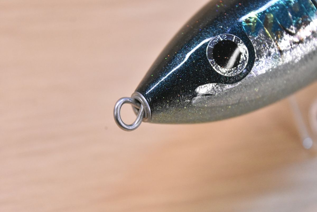 カーペンター ブルーフィッシュ 45-150 Carpenter BlueFish