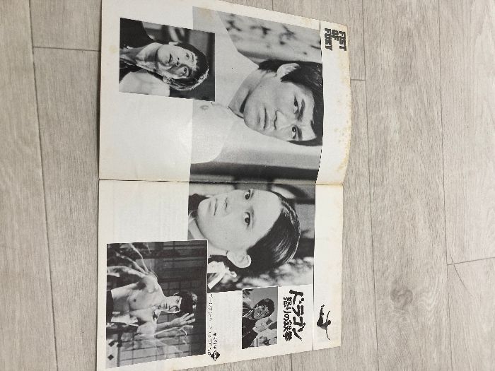 映画パンフレット ブルース・リー まとめて5冊セット - メルカリ