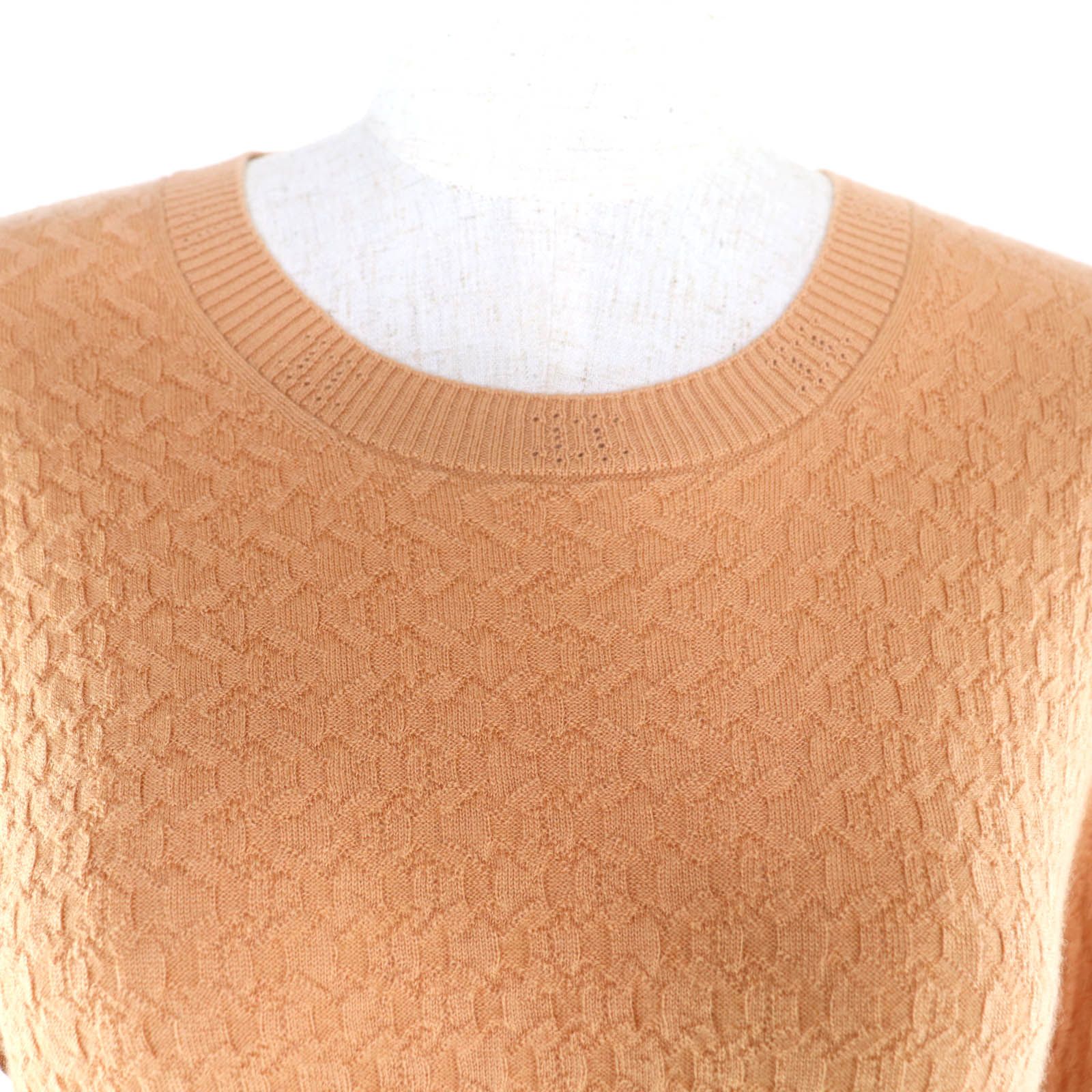 極美品☆CHANEL シャネル 23A P75335 ココマークプレート付 クルー