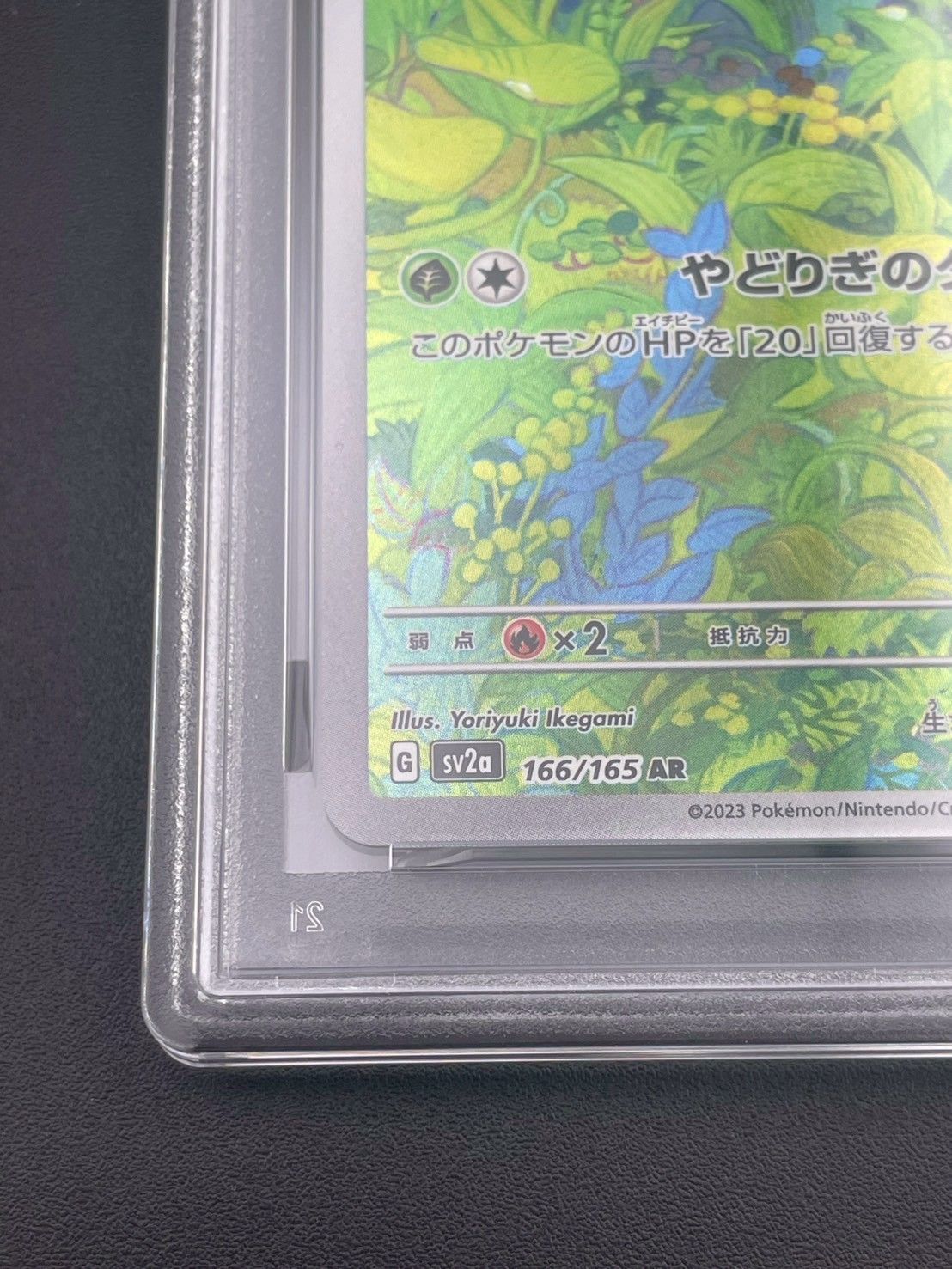 鑑定品】 PSA10 フシギダネ AR SV2a 166/165 ポケモンカード151