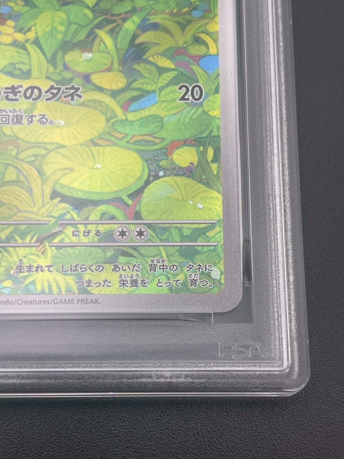 【PSA10・鑑定品】ポケモンカード フシギダネ AR 状態難/PSA10鑑定済〕フシギダネ【AR】{064/063}