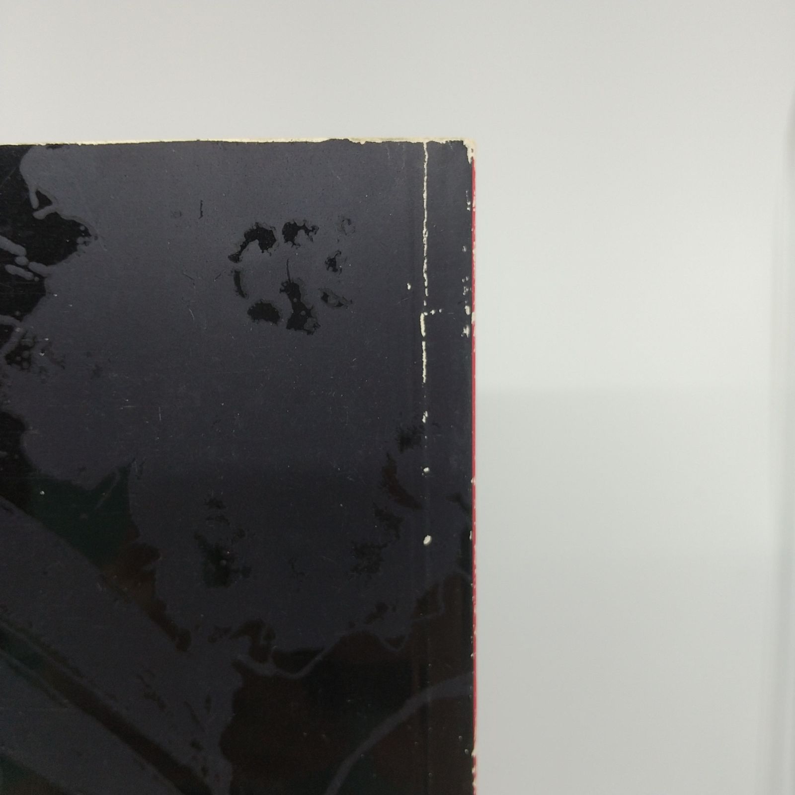 魂のピアニスト フジ子・ヘミング ~もうひとつの世界~展 作品集 