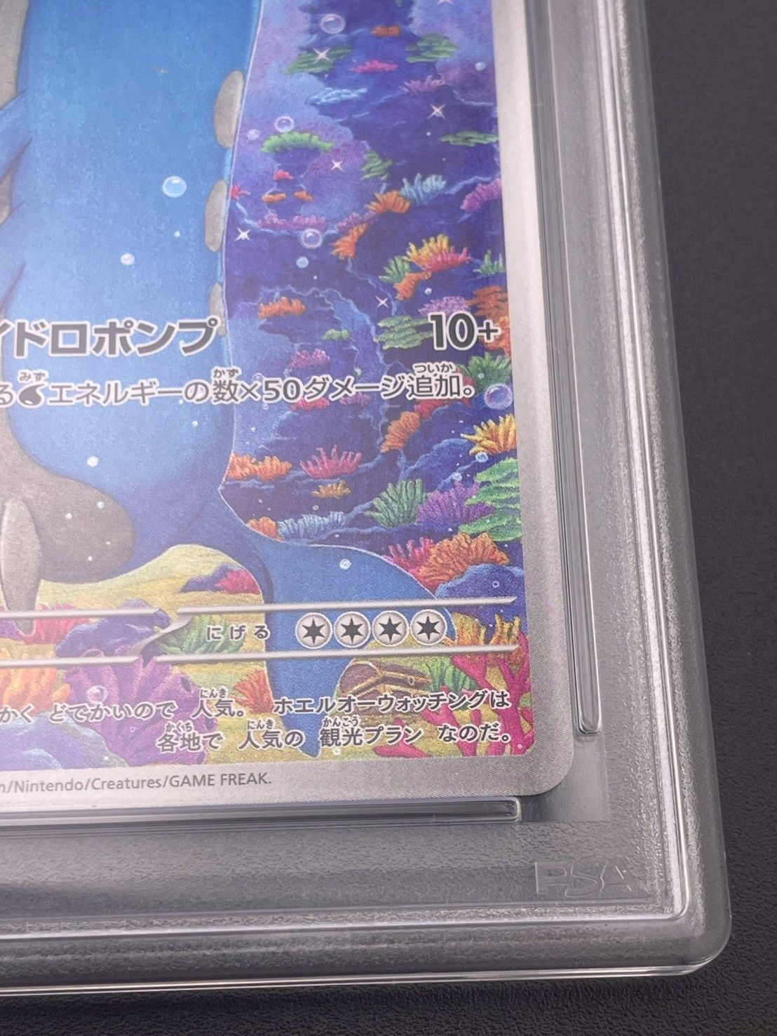 鑑定品】 PSA10 ホエルオー AR SV9 103/100 拡張パック バトル