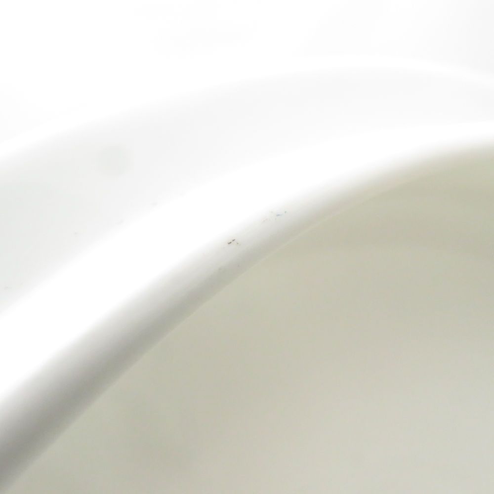 コロンビアセージグリーン