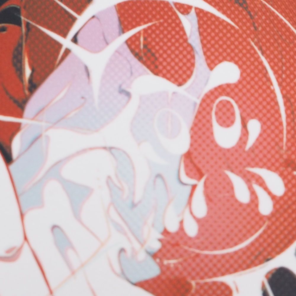 美品 Crazy Raccoon クレイジーラクーン DARUMA IS GOD だるまいずごっ