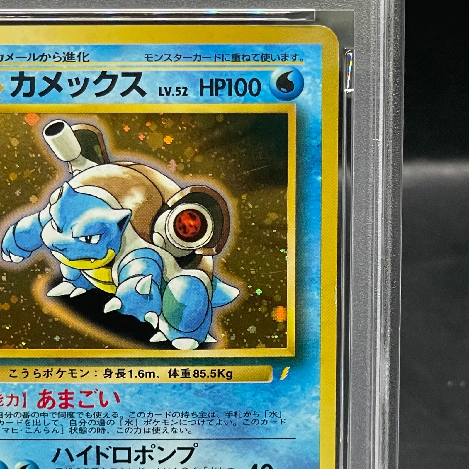 カメックス　旧裏「とりかえっこプリーズ」 キャンペーンカード PROMO カメックス_「とりかえっこプリーズ」 キャンペーンカード PR