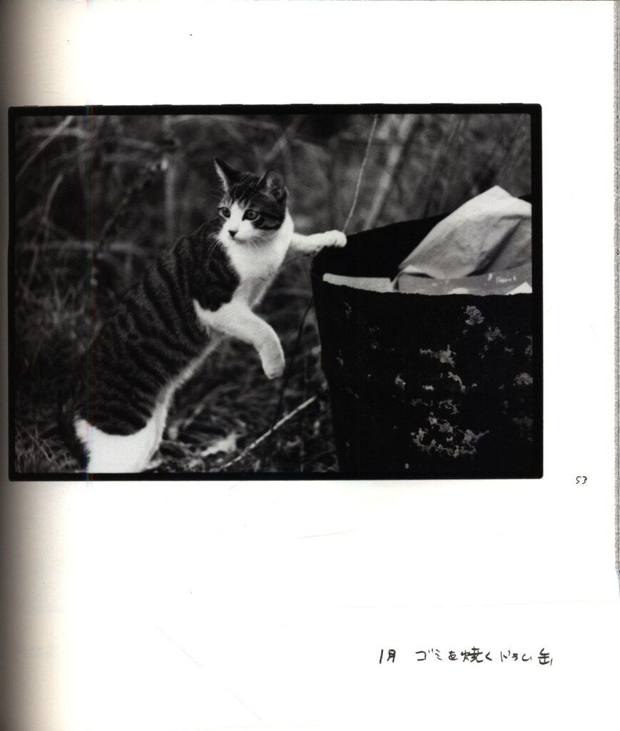 深瀬昌久 Afterword special edition - メルカリ