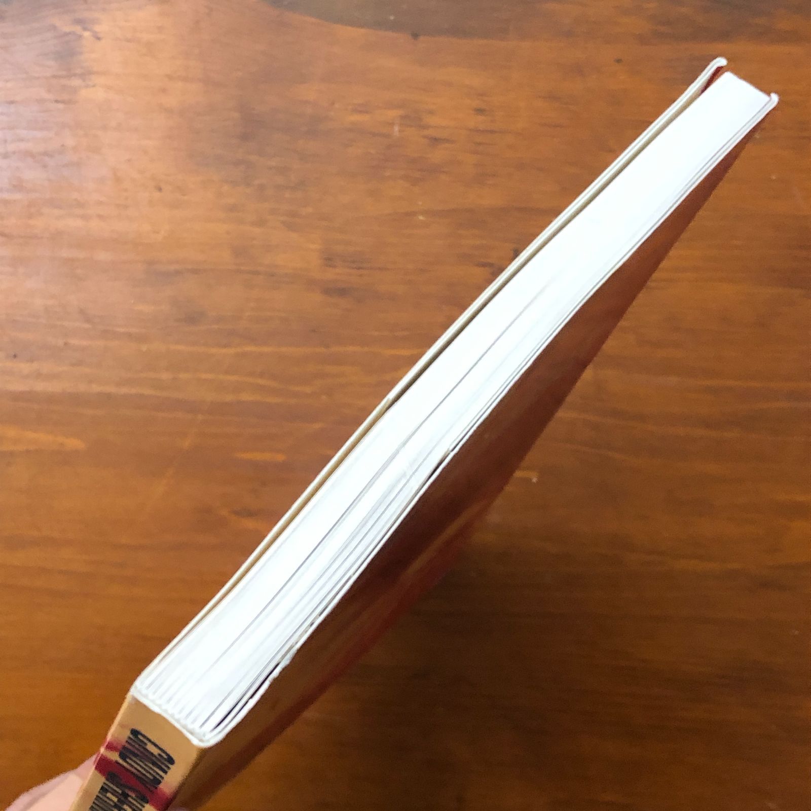 CINDY SHERMAN Photographic Work 1975-1995（シンディ・シャーマン