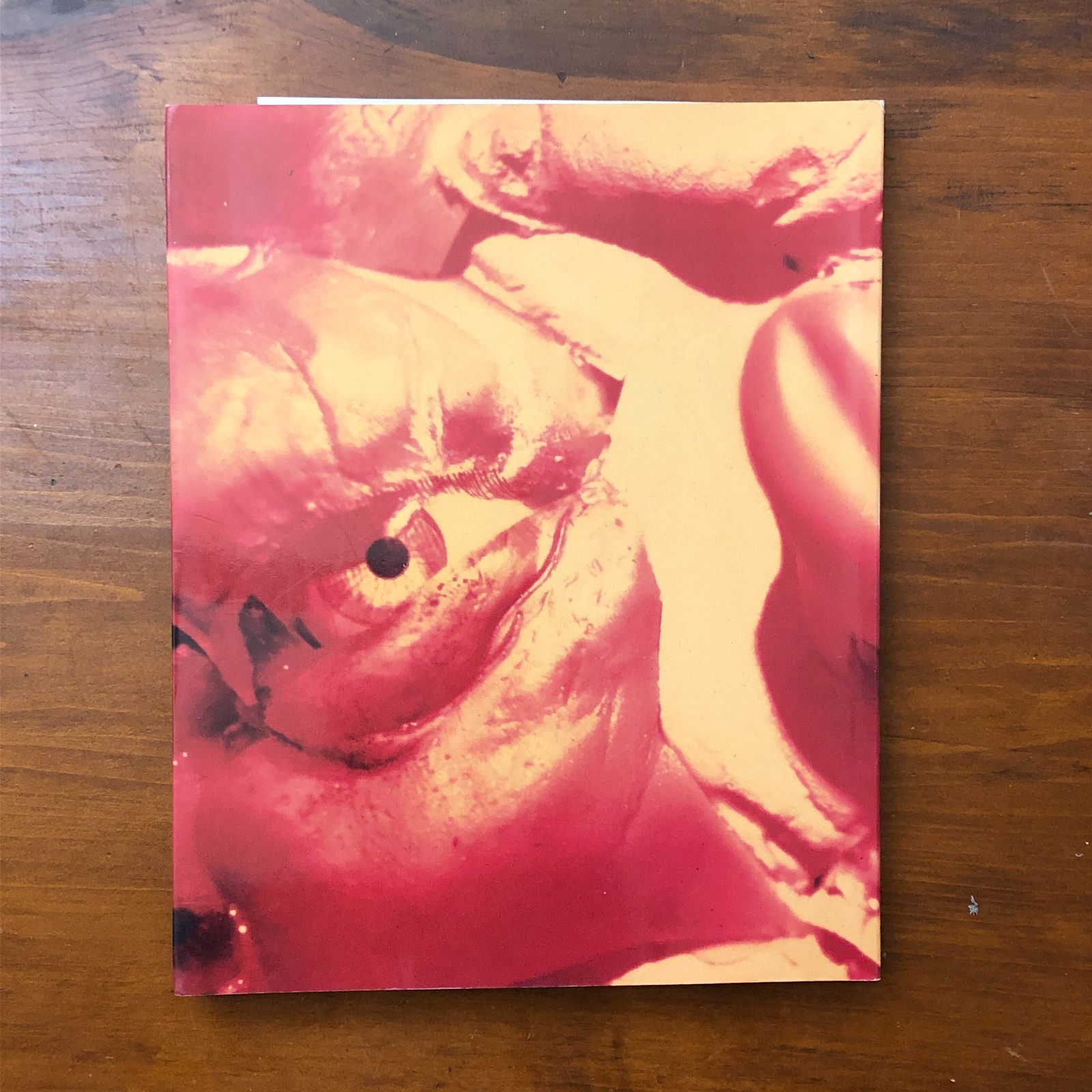 CINDY SHERMAN Photographic Work 1975-1995（シンディ・シャーマン