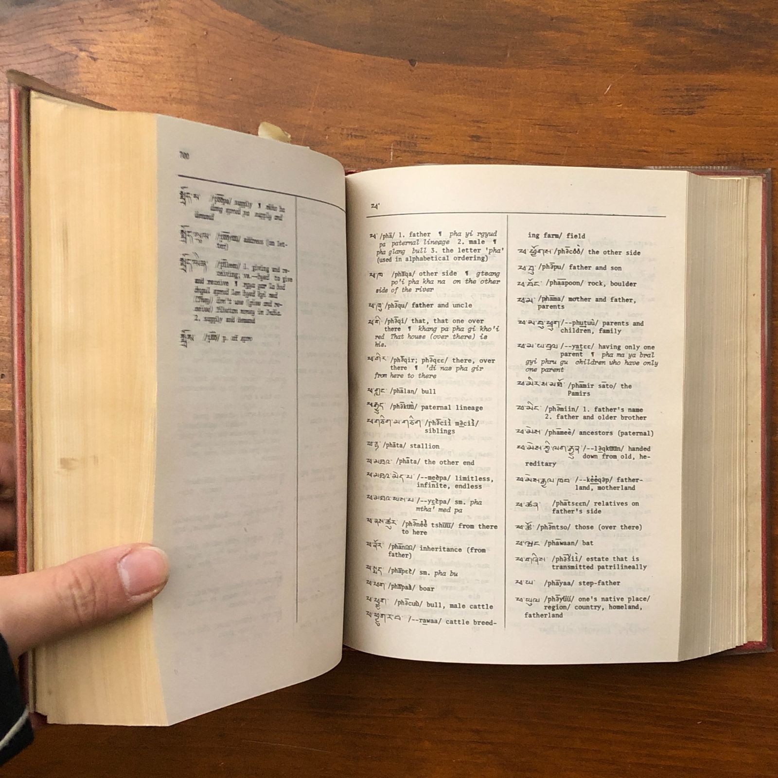 Tibetan-English Dictionary of Modern Tibetan（現代チベット語英語