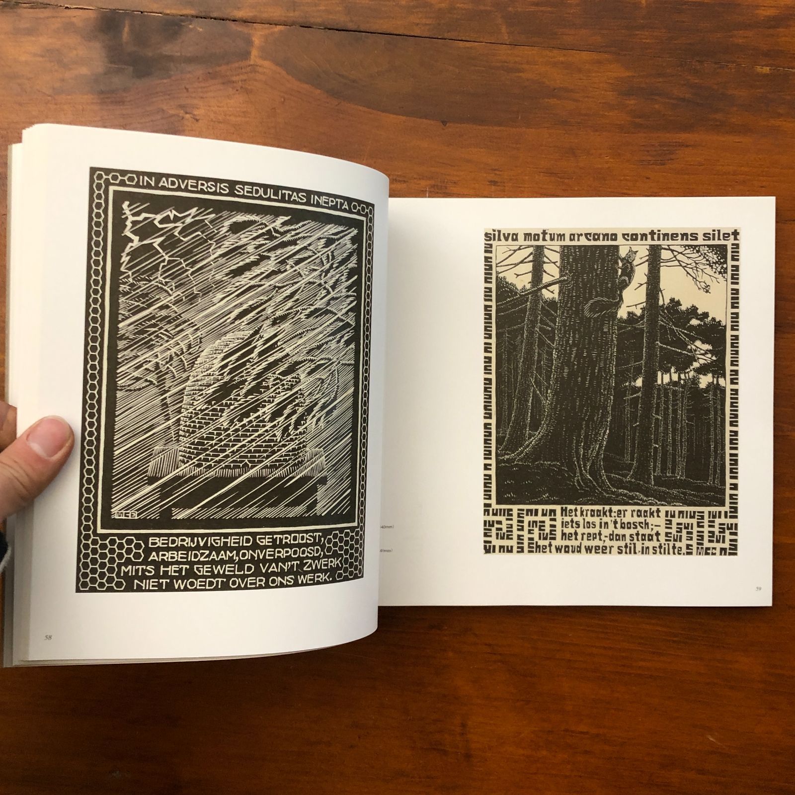 ハウステンボス・コレクション M.C.エッシャー 安田恭子 編