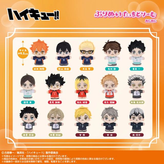 新品未開封 バンダイナムコヌイ(Bandai Namco Nui) ハイキュー!! 岩泉