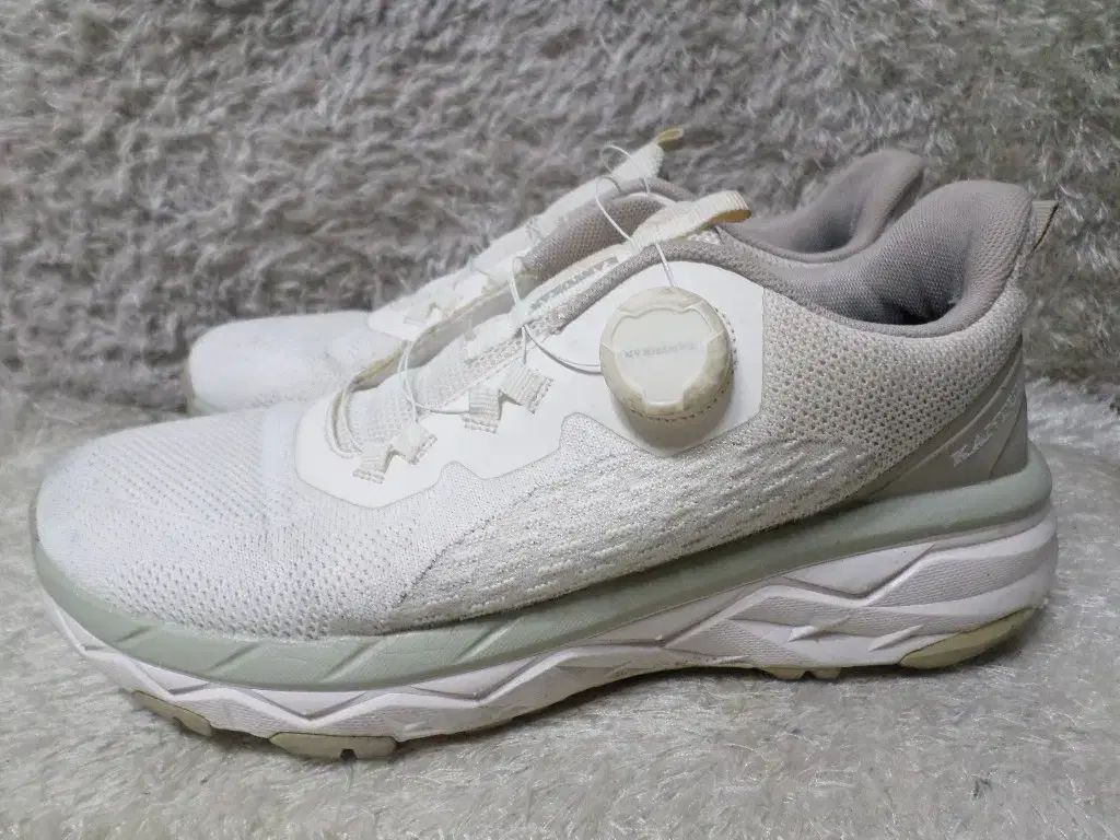 265 KANTUKAN 版ディオ BoA スニーカー  靴