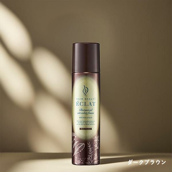 新品・未開封品】ヘアボーテ エクラ ボタニカルエアカラーフォームEX